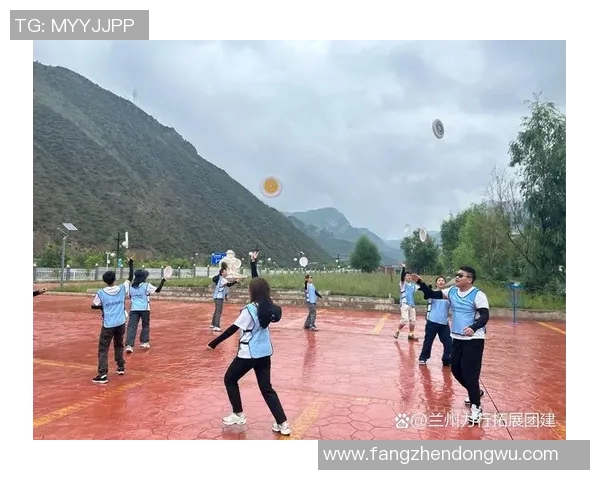 聚焦飞盘运动：探讨北京飞盘队员的个人能力与团队协作发展