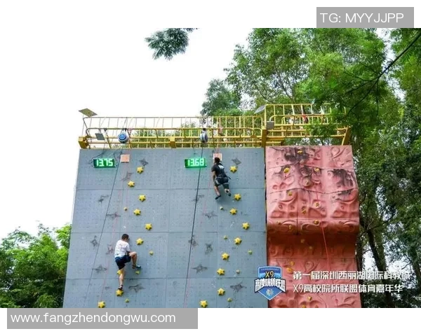 成都攀岩队表现优异最新攀岩速度TOP10榜单揭晓