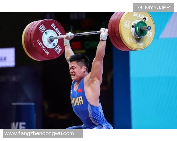 杭州乒乓球队奋斗历程的真实记录与精神传承