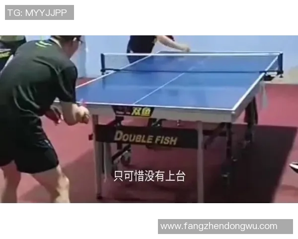 武汉乒乓球队区域防守分析及其在比赛中的成败得失探讨