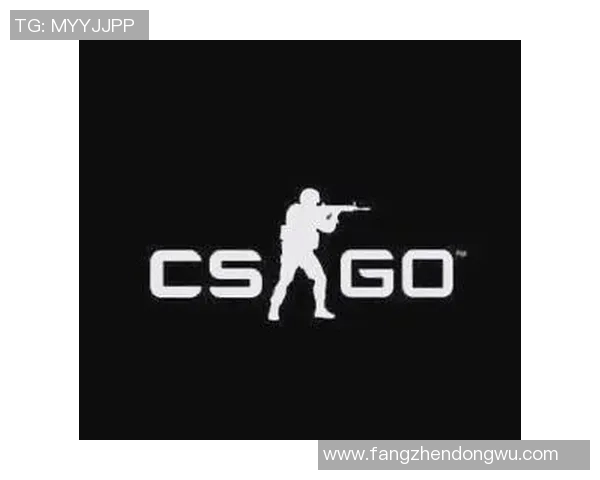 CSGO盛宴揭秘V5战队的强大实力与战术魅力