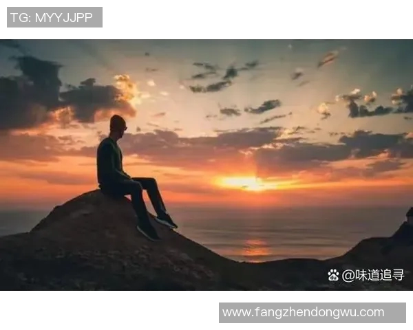 极限运动女王杨娜分享成功秘诀与挑战经历的独家专访