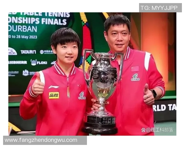 王军专访:揭秘排球成功背后的秘诀与奋斗历程