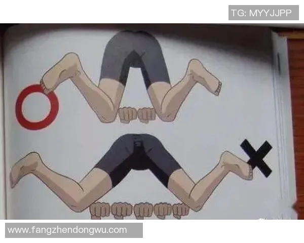 蛙泳技巧全面解析 从基础动作到高效训练方法的系统教学