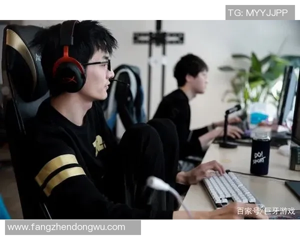 WE战队实力大变革DOTA2赛场新篇章的崛起与挑战