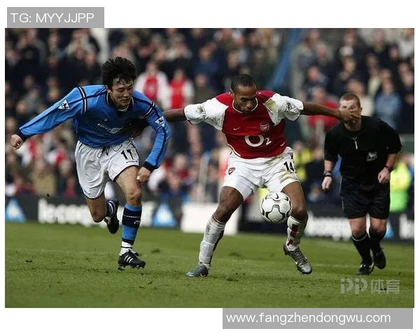 南京排球队灵活性分析与战术创新的深度探讨