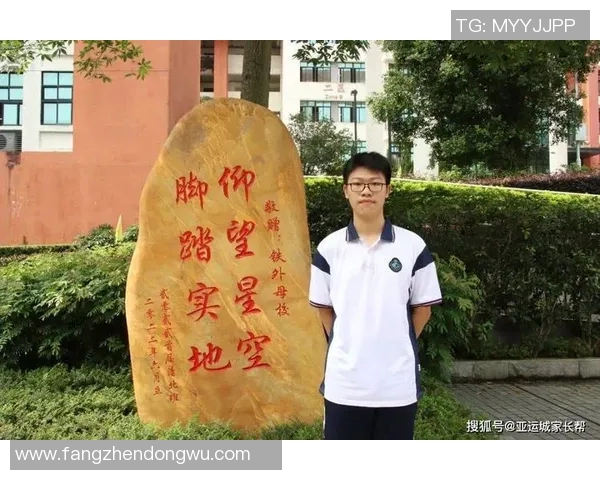 杨静谈乒乓球生涯回顾与成长历程的深刻体悟与感悟